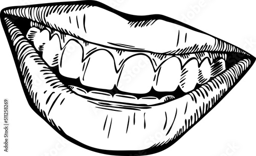 Perfect smile with shiny white teeth. Mouth hygiene and dentist medical care illustration. Woman lips with beautiful and happy smiling open mouth. Hand drawn vintage vector. Old style drawing.