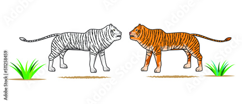 yellow and white tiger drawing in vector