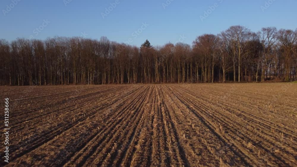 Drone fly from a plowed field to a bare forest wit a green tree in the middle Drone fly from a plowed field to a bare forest wit a green tree in the middle