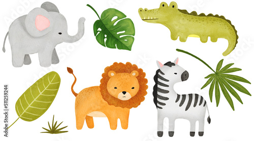 Photography Set African watercolor animals clip art