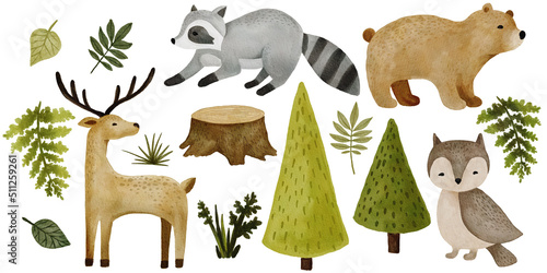 Photography Watercolor forest animal clipart with bear, deer, raccoon and rabbit
