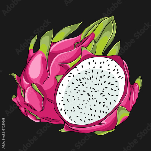 Vivid illustration of dragon fruit. Vector illustration