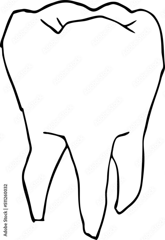 Root tooth. Beautiful healthy tooth is symbol for health dental care. Logo for dentist doctor, orthodontist, dental clinic. Hand drawn old style vector line illustration. Root tooth. Beautiful healthy tooth is symbol for health dental care. Logo for dentist doctor, orthodontist, dental clinic. Hand drawn old style vector line illustration.