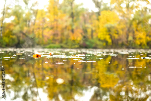 Billede på lærred Fallen leaf on the surface of a pond in golden autumn, blurred background, selec