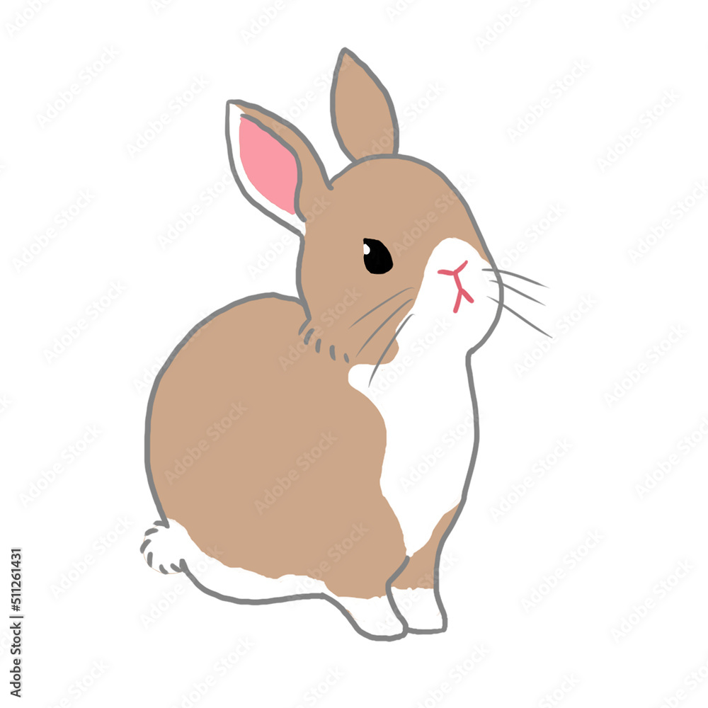 ちょこんと座っている茶色うさぎ ちょこんと座っている茶色うさぎ