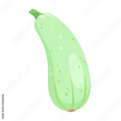 Fresh zucchini. In cartoon style. Isolated on white background. Vector flat illustration.