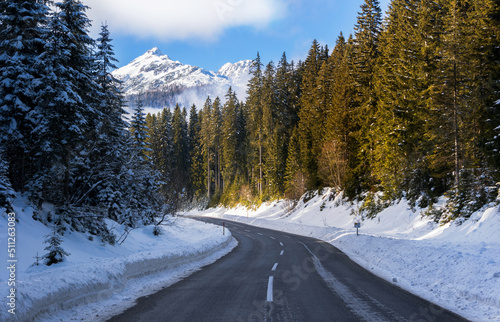 Road through winter forest on Pokljuka