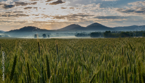 Sunrise in the mountains. Rudawy Janowickie, Poland. Sunlight. Field of grain. Fog over the field
