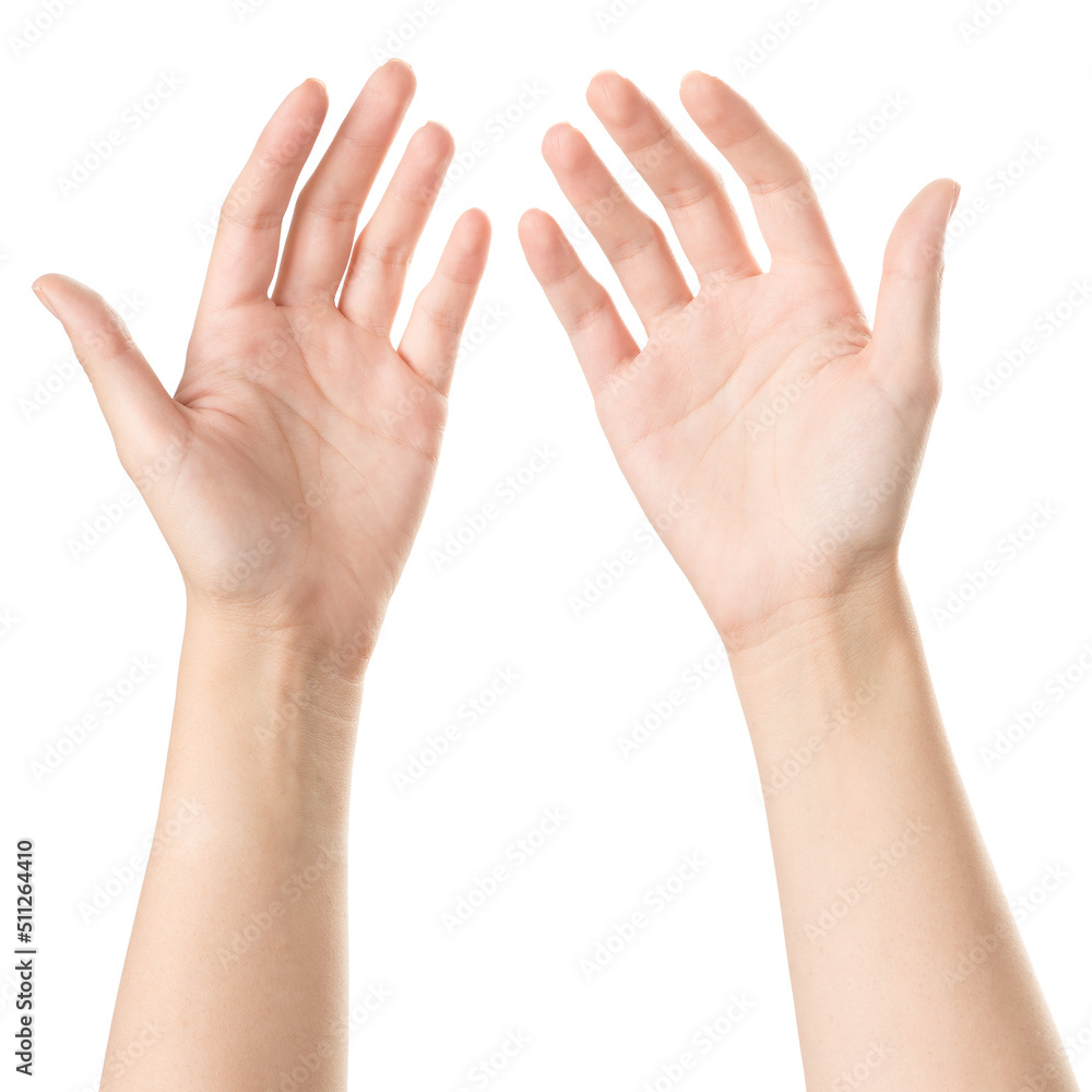 Two Female Hands Isolated on white background Two Female Hands Isolated on white background