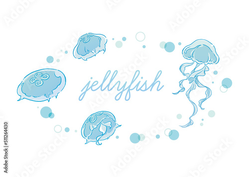 jellyfish