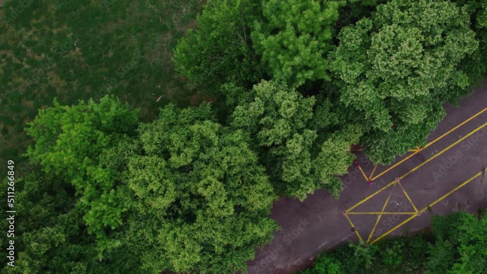 Top down aerial of the trees in park, 4k Top down aerial of the trees in park, 4k