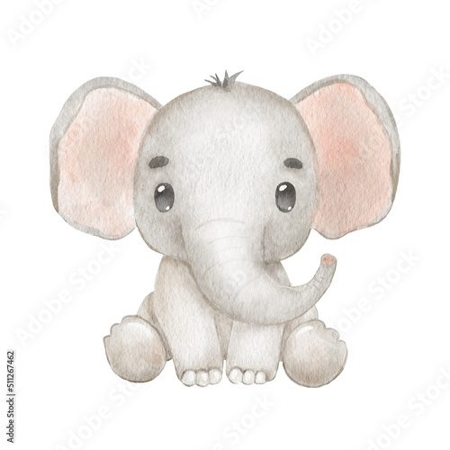 Cute portraits elephant in cartoon style. Drawing african baby wild animal isolated on white background. Jungle animal is sitting © Elena