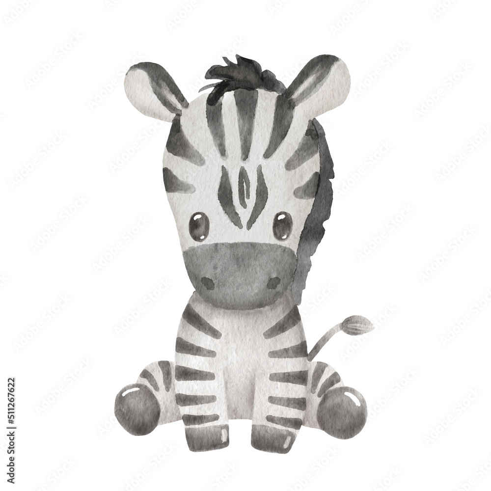 Cute portraits zebra in cartoon style. Drawing african baby wild animal isolated on white background. Jungle animal is sitting