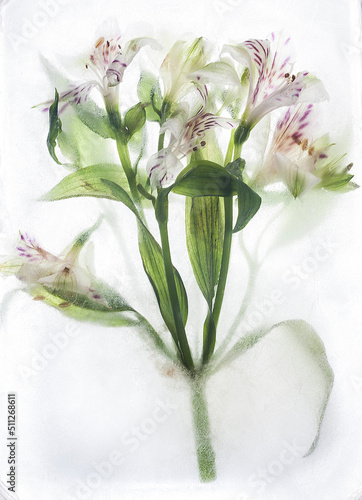 bouquet of flowers in the ice