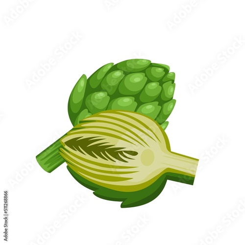 Vector illustration of Globe artichoke or green thistle Flower bud of cynara cardunculus. isolated on white background. healthy green vegetables. Fresh French artichoke heads.
