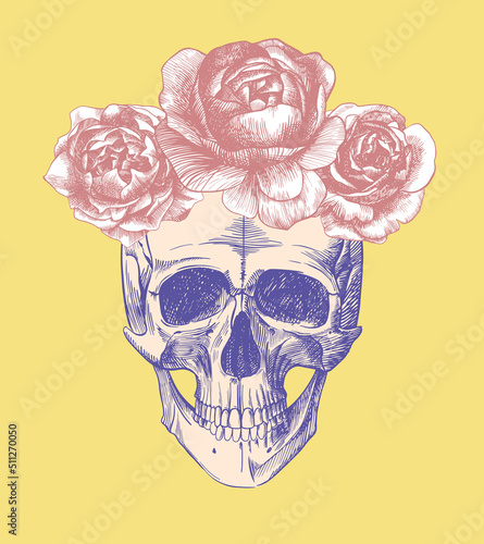 Vintage poster skull with roses. Vector print.