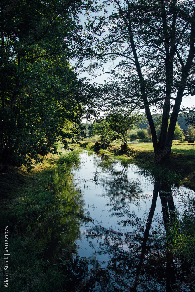 Une rivière sous des arbres. Un paysage de campagne. Un paysage de la Haute-Saône. Une rivière au milieu des champs. La sécheresse en été