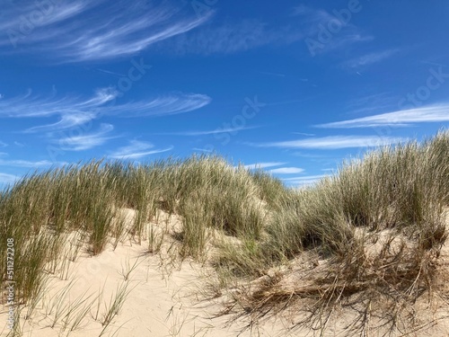 Sommerliche Dünenlandschaft an der Nordseeküste mit Sand und Strandhafer vor blauem Himmel mit Cyrruswolken bei de Haan, Belgien © finecki