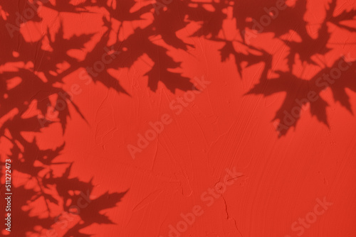 Shadow of willow leaves on red concrete wall texture with roughness and irregularities. Abstract trendy colored nature concept background. Copy space for text overlay, poster mockup flat lay 