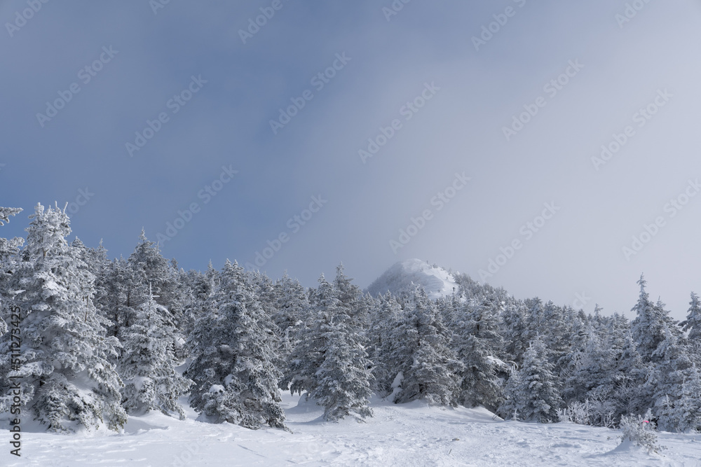 四阿山 冬 登山 四阿山 冬 登山