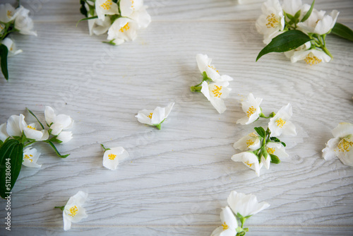 beautiful wooden background with flowers of white blooming jasmine