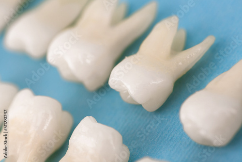 Prosthetic dentistry White teeth on black background Oral dental hygiene Dental health concept Oral care teeth restoration top view.