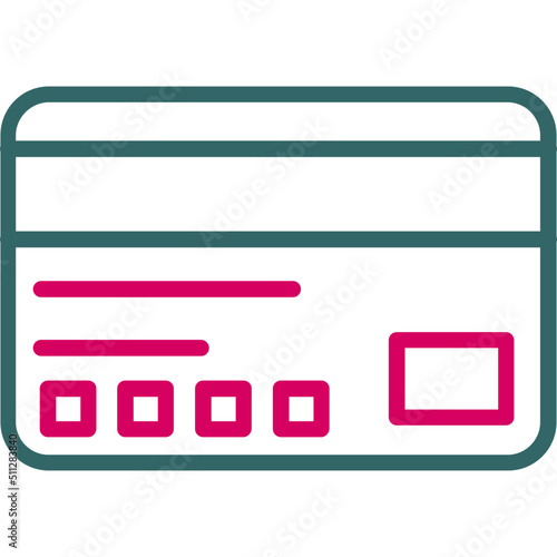 Visa Card Icon