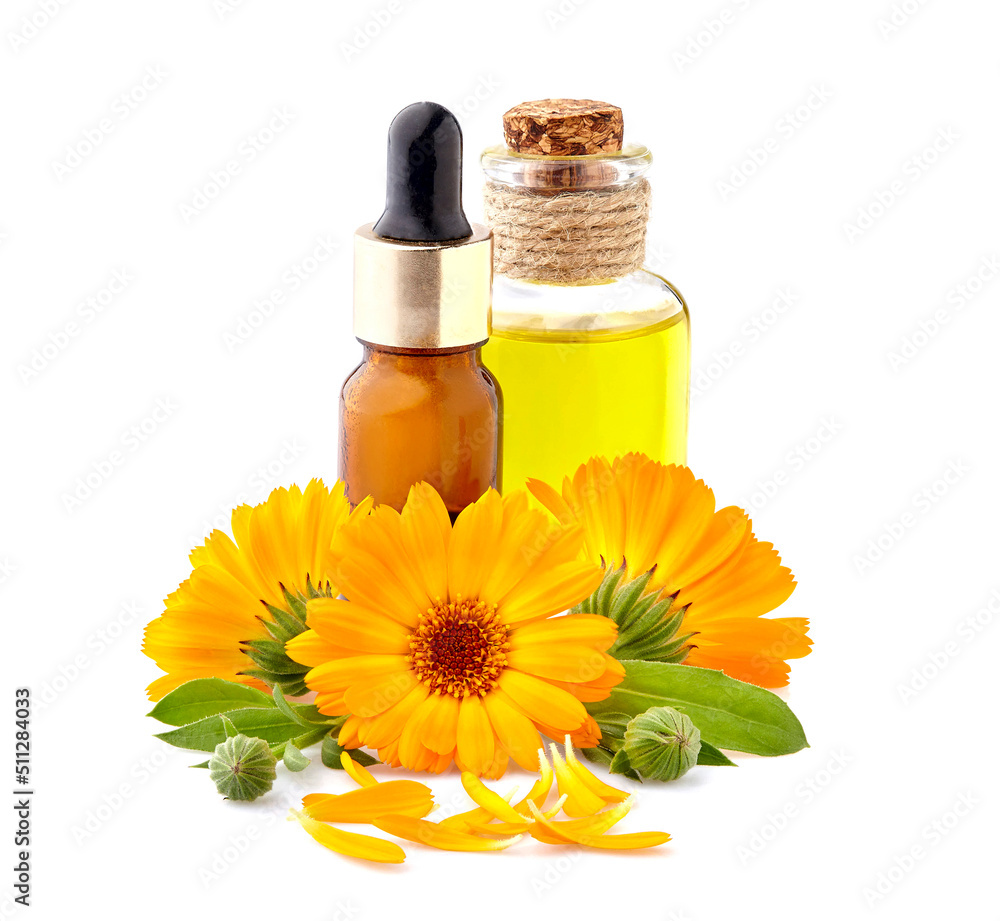 Calendula. Flowers isolated on white background. Calendula with essential oil. Calendula. Flowers isolated on white background. Calendula with essential oil.