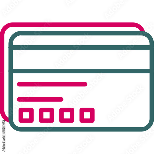 Visa Card Icon