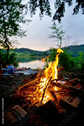 Feu de camp nature forêt camping sauvage nature coucher de soleil flammes