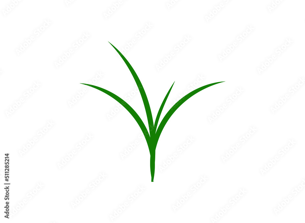 Obraz premium Grass Icon Symbol. Premium Quality Isolated Sedge Element In Trendy Style.