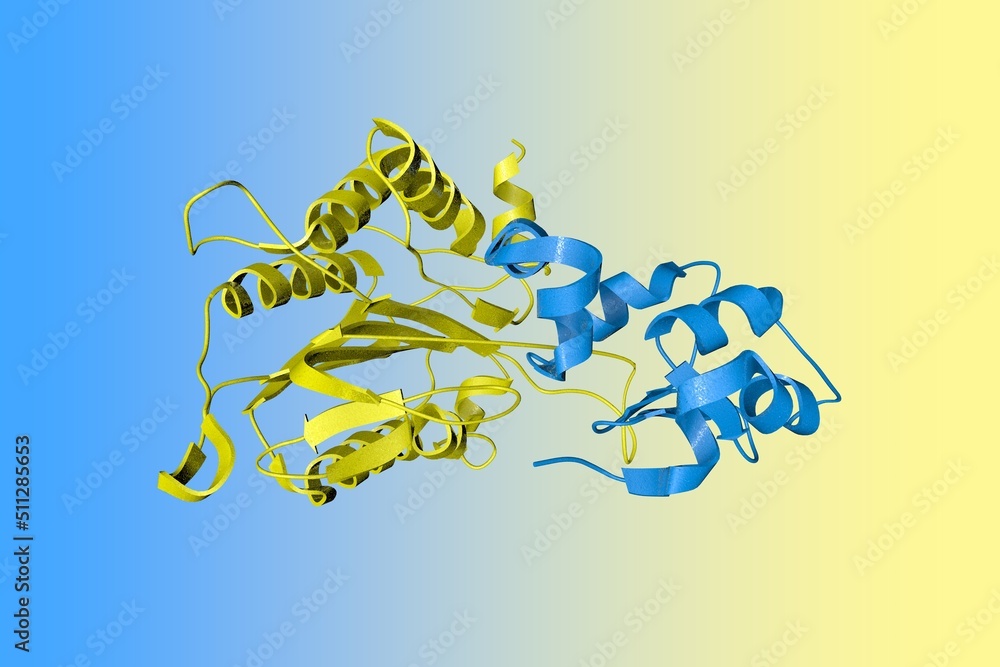Crystal structure of caspase9 in an inhibitory complex with XIAPBIR3