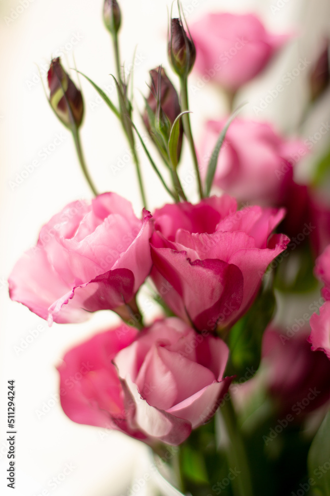 beauty bouquet in vase, pink eustoma beauty bouquet in vase, pink eustoma