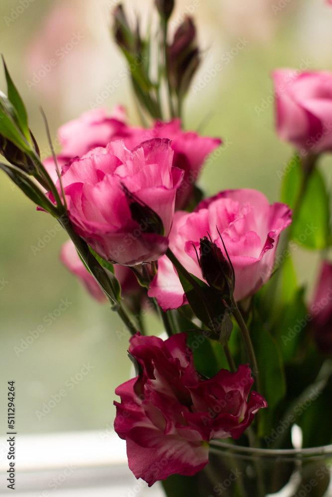Obraz premium beauty bouquet in vase, pink eustoma
