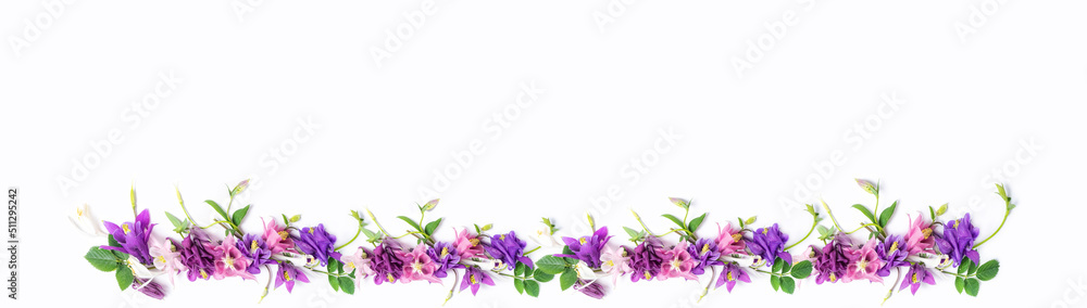 Banner. Festive flower row from pink and violet flowers of aquilegia on a white background. Top view, flat lay and copy space.