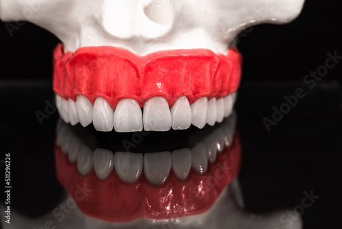 Wallpaper Mural Lower human jaw with teeth anatomy model isolated on black background. Healthy teeth, dental care and orthodontic medical concept. Torontodigital.ca