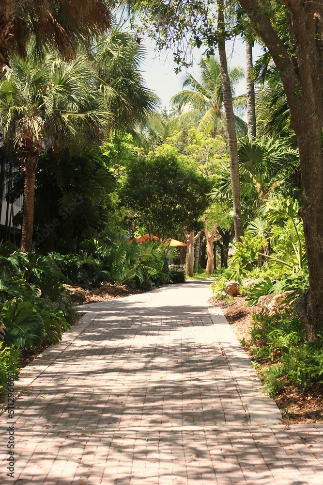 path in the garden path in the garden