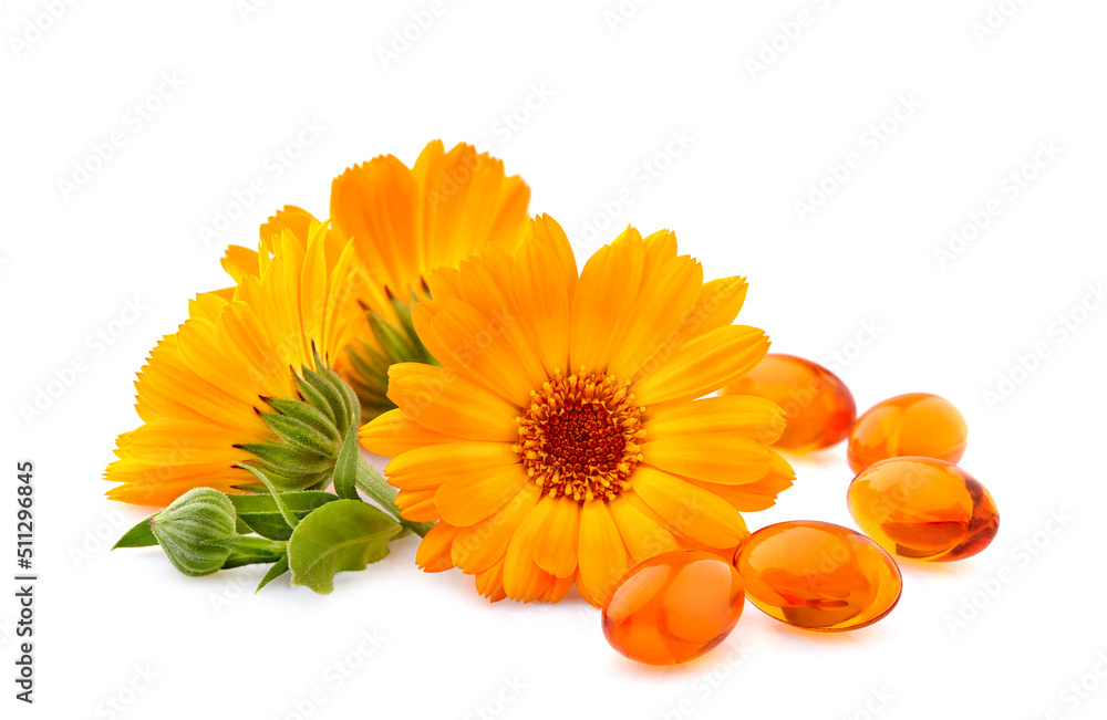 Calendula. Flowers  isolated on white background. Vitamin capsules with calendula flowers. - obrazy, fototapety, plakaty 