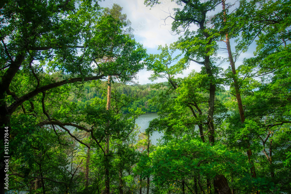 Obraz premium Am Edersee in Hessen - Nationalpark Kellerwald-Edersee