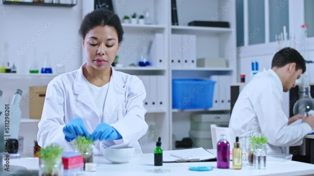Black female lab researcher studying medicinal herb extract for drug development Black female lab researcher studying medicinal herb extract for drug development