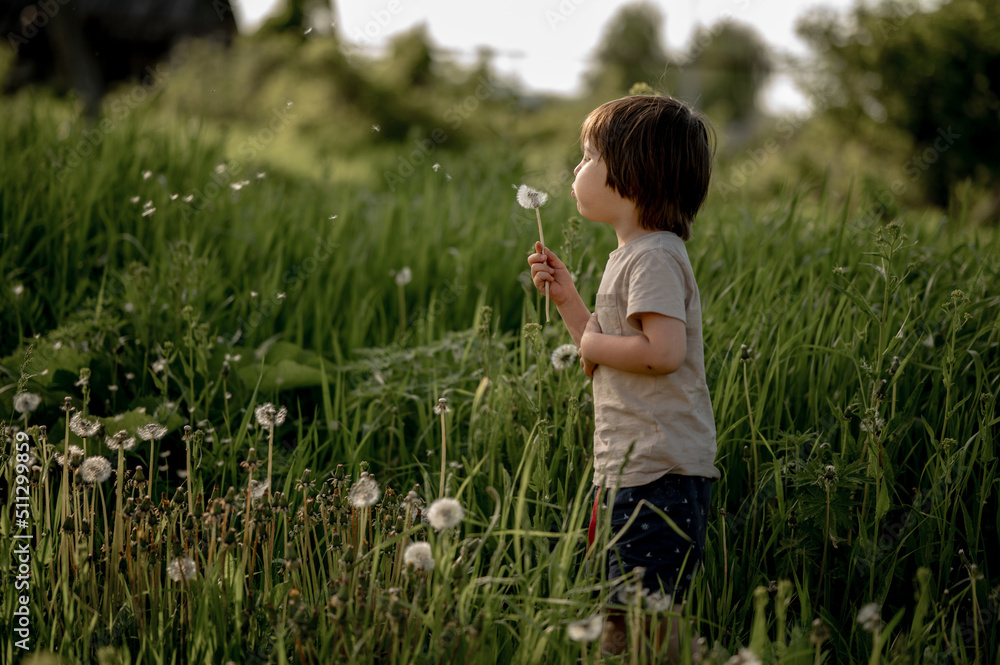 a boy in the park on the playground in the sandbox plays with sand and a shovel. happy child on a walk on a summer evening a boy in the park on the playground in the sandbox plays with sand and a shovel. happy child on a walk on a summer evening