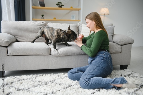 Female owner playing with joyful dog at home. Playing with dog concept © Serhii