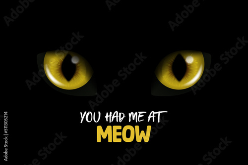 You Had Me At Meow. Vector 3d Realistic Yellow or Orange Glowing Cats Eyes of a Black Cat. Cat Look in the Dark Black Background Closeup. Glowing Cat or Panther Eyes