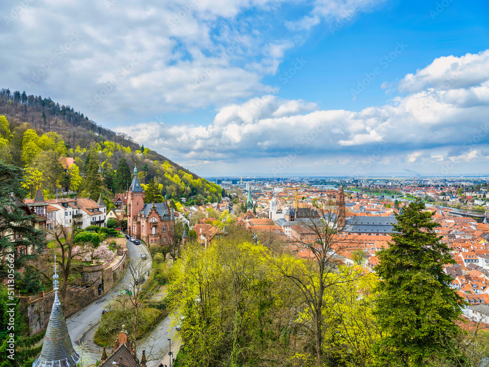 Landscape shot of Heidelberg town with trees and hills in view, Germany
