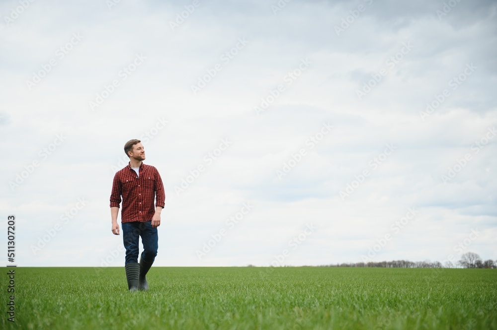 Farmer walking between agricultural fields