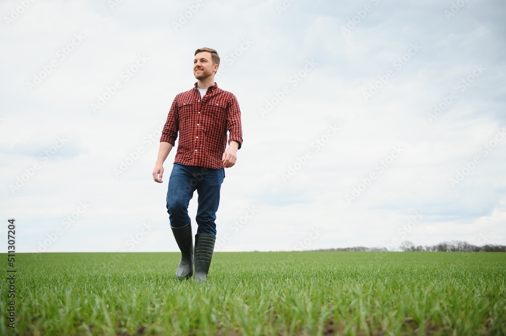 A farmer in boots works with his tablet in a field sown in spring. An agronomist walks the earth, assessing a plowed field in autumn. Agriculture. Smart farming technologies