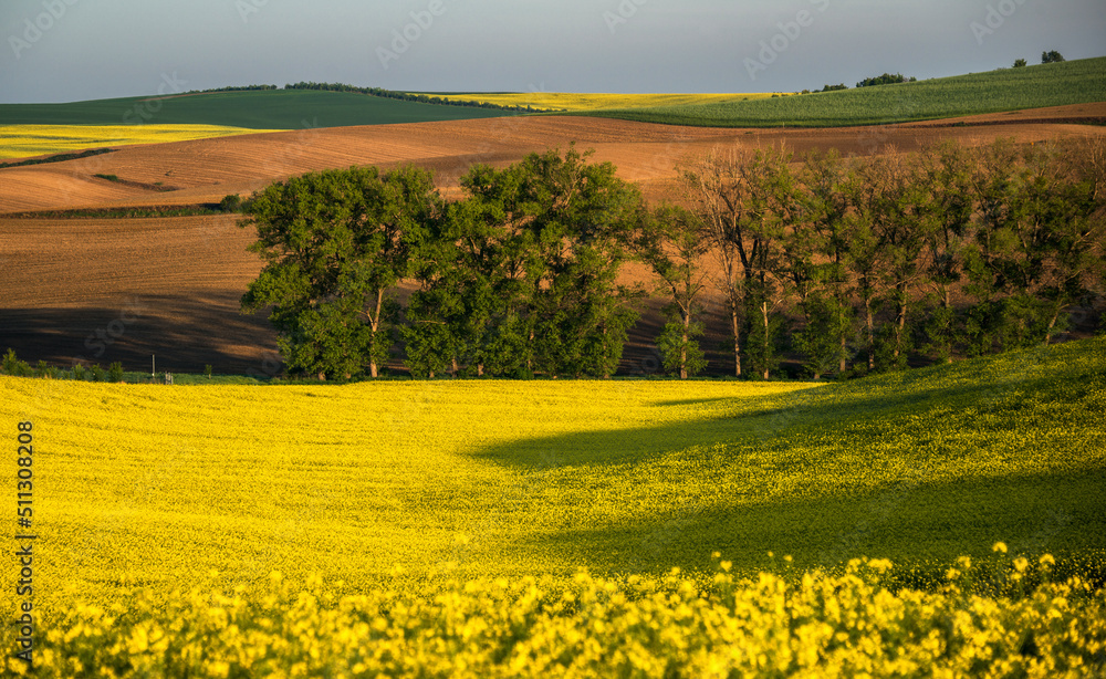South Moravia landscape and farmland in the spring