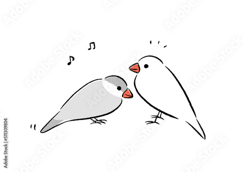 文鳥の歌とダンス