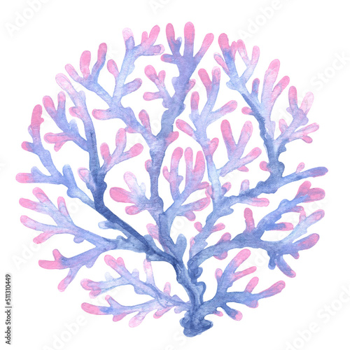 Coral reef watercolor for decoration on summer and marine life concept.