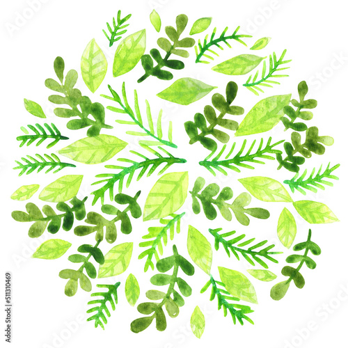 pine leaves, fern and green leaves watercolor wreath for decoration on nature and organic life style.